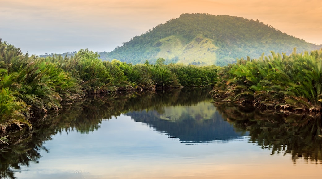 Trung Kalimantan