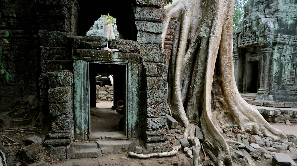 Ta Prohm Tempel, Siem Reap, Siem Reap (Provinz), Kambodscha