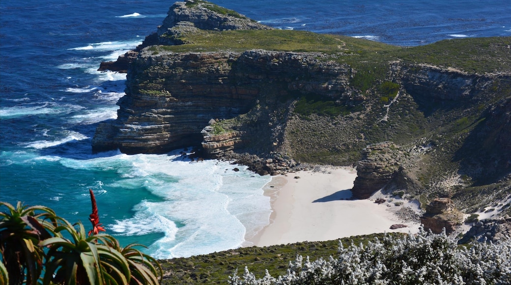 Cape of Good Hope, Cape Town, Western Cape, South Africa