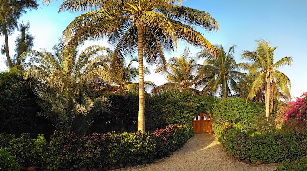 Saly - Petite Côte