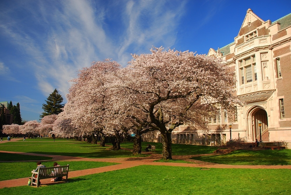 ホット販売 ワシントン大学 ペナント University of Washington | www