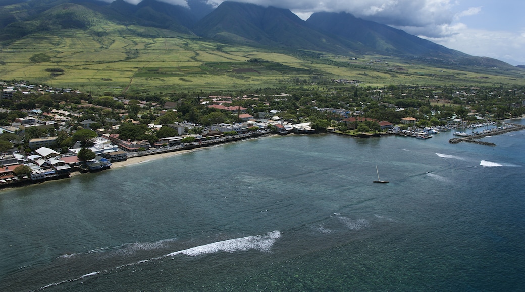 10 TOP Things to Do in Kahana, HI (2021 Attraction & Activity Guide ...