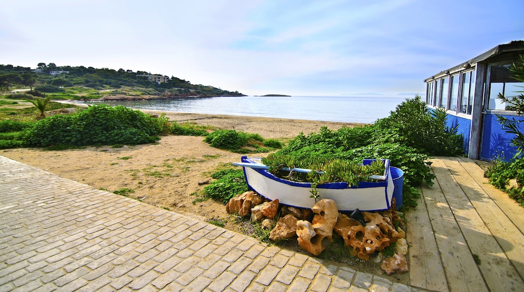 Athens Coast