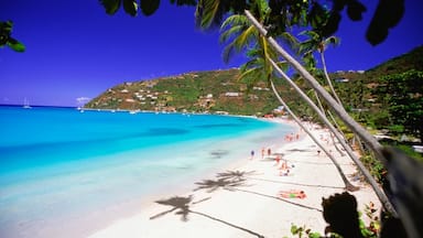 gay travel british virgin islands