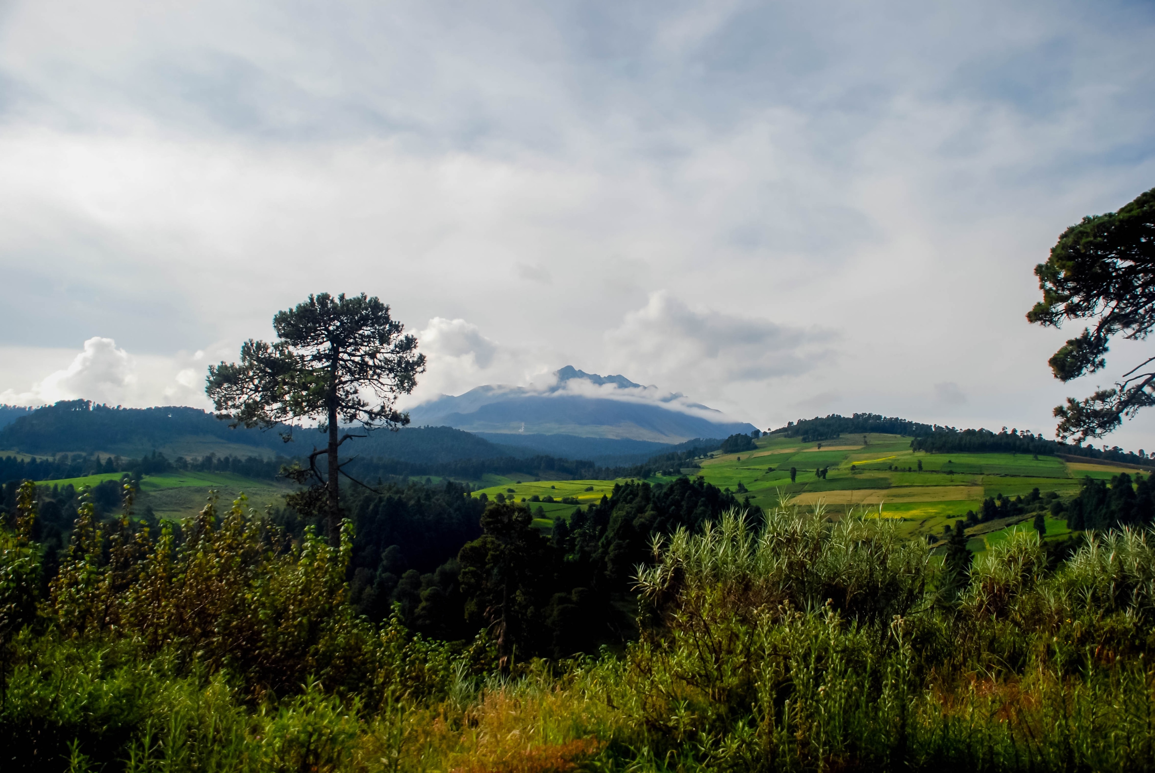 Visit Toluca: 2020 Travel Guide for Toluca, Mexico | Expedia