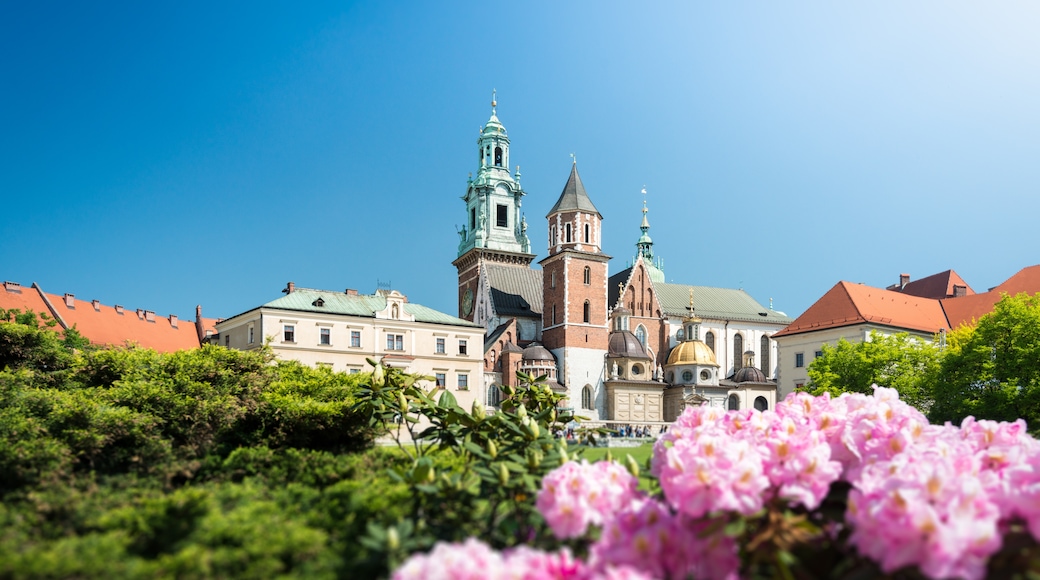 Wawel Cathedral, Kraków, Lesser Poland Voivodeship, Poland