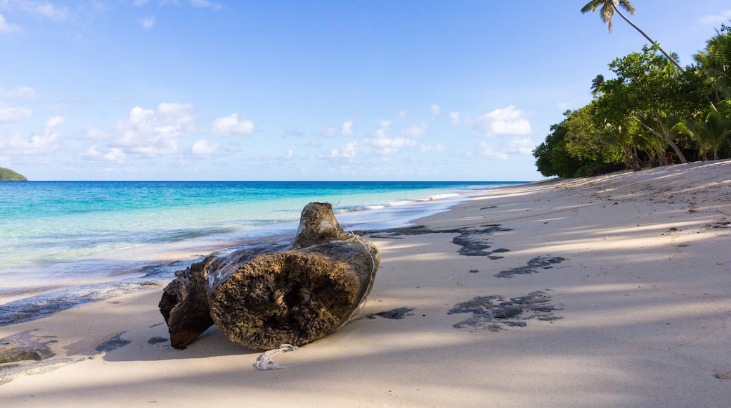 Great Astrolabe Reef