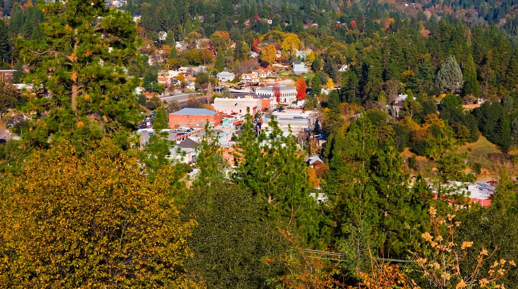 Historic Main Street Placerville, Placerville, California, United States of America