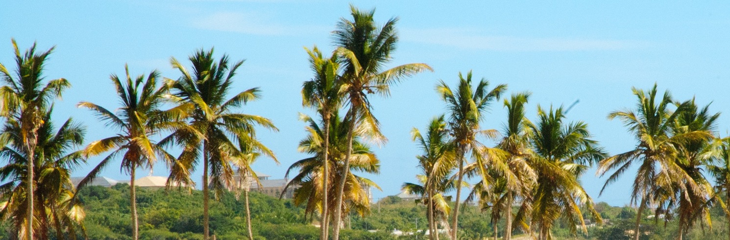 المكاو, جمهورية الدومينيكان