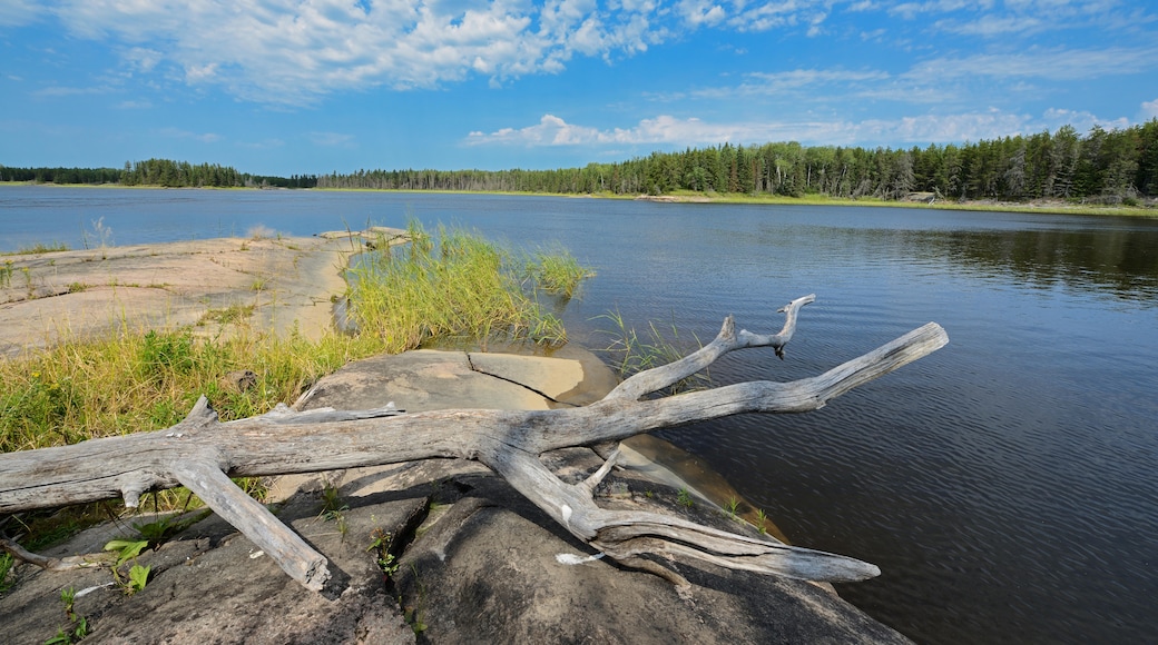 Lago Winnipeg