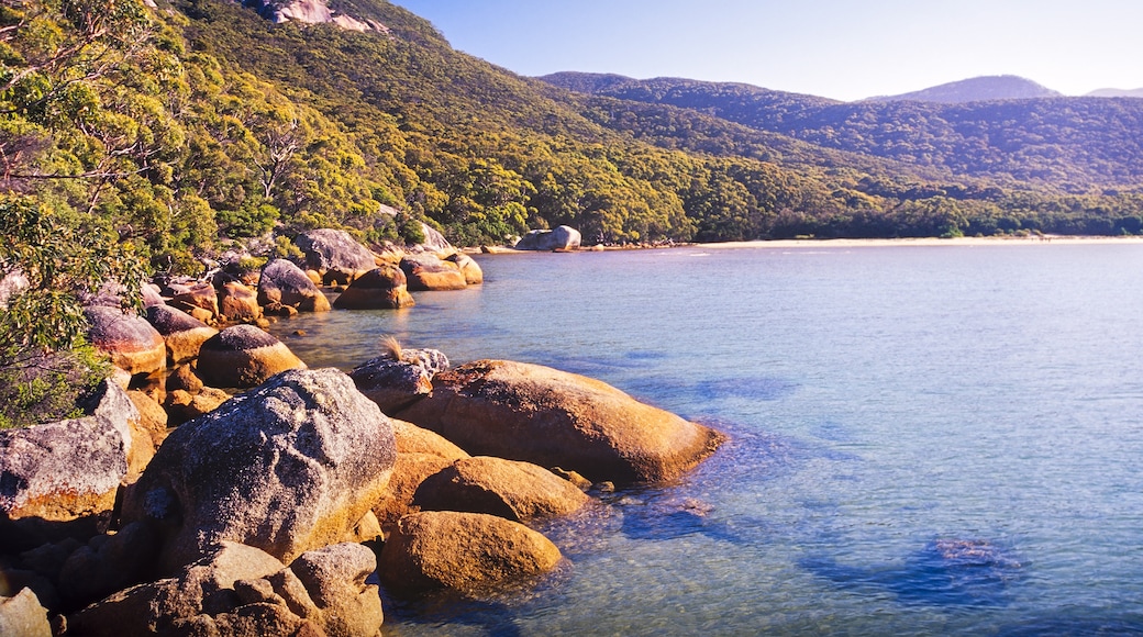 Wilsons Promontory