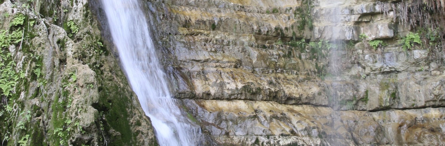 Ein Gedi, Israel