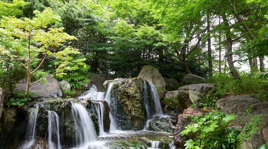 Shirotori Garten, Nagoya, Präfektur Aichi, Japan