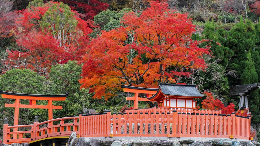Parque Nacional Meijinomori Minoh Quasi