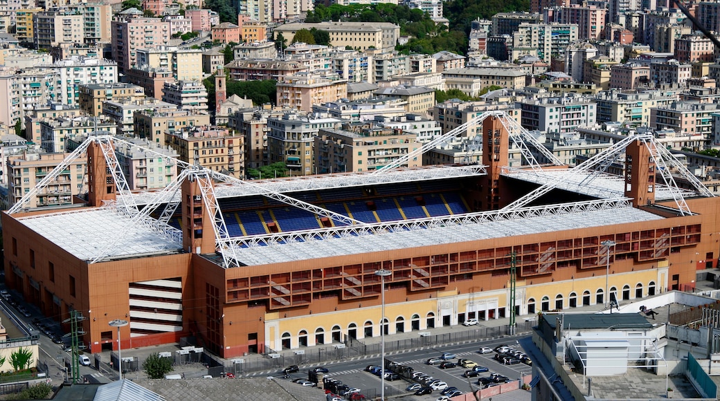 Luigi Ferraris Stadium