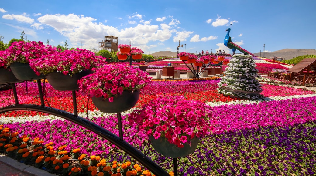 Konya City Center