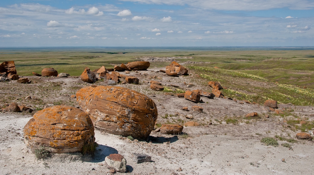 Medicine Hat