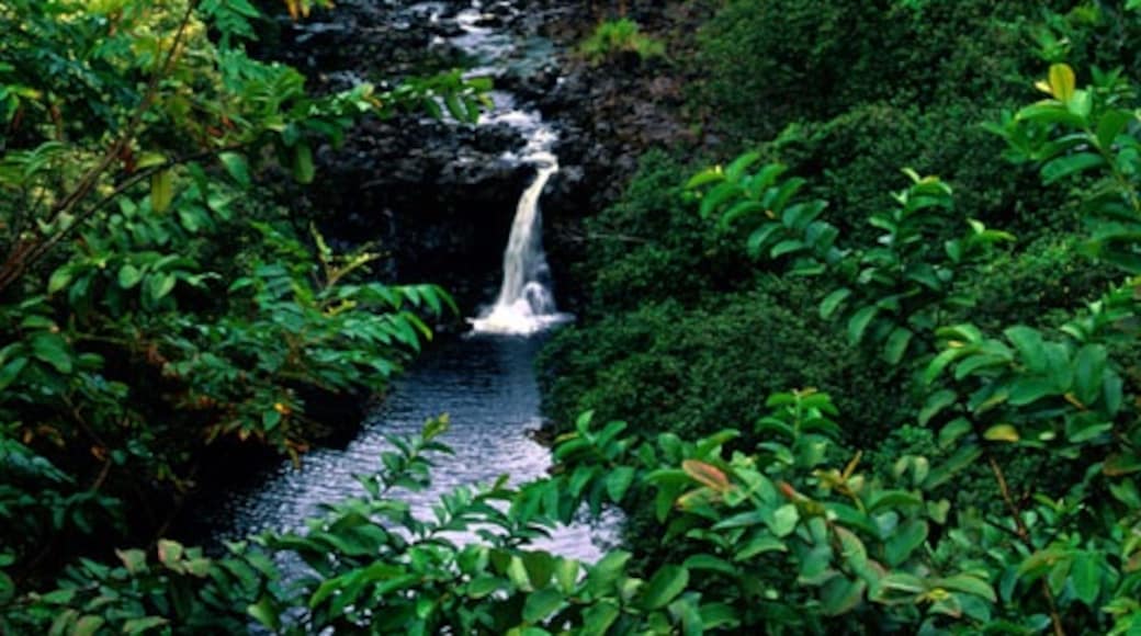 우마우마 폭포, 하칼라우, 하와이, 미국