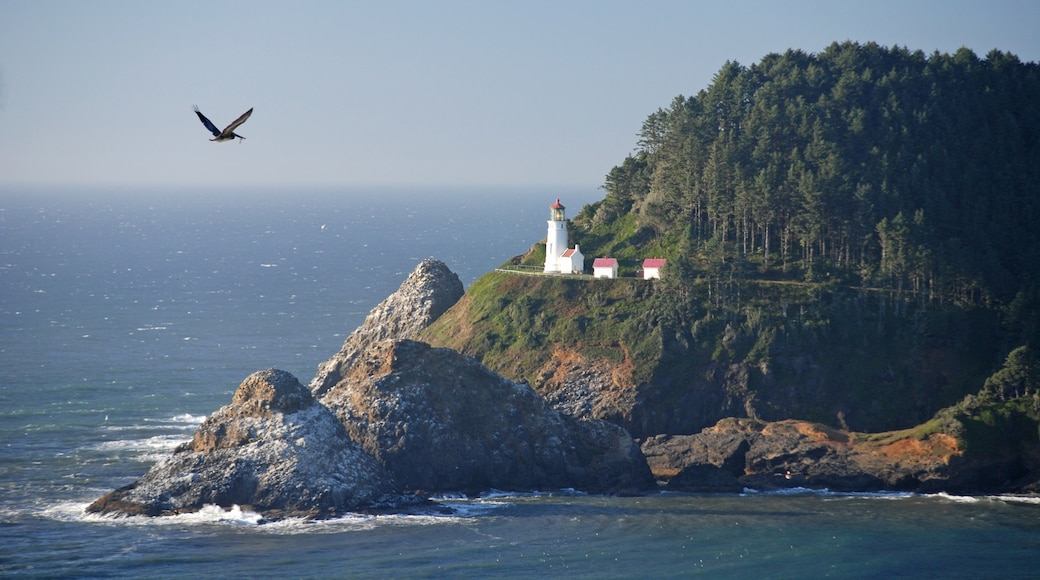 Heceta Head Lighthouse, Florence, Oregon, United States of America