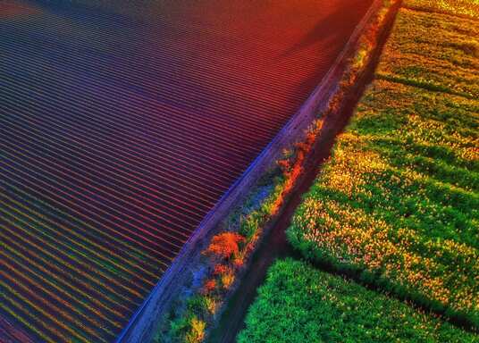 Bundaberg, Queensland, Australien