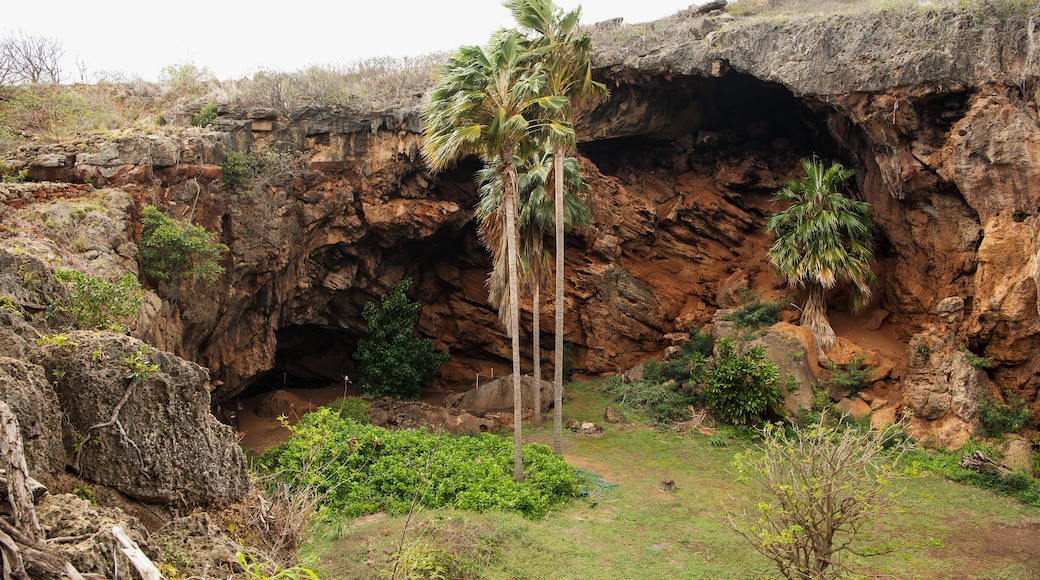 Réserve naturelle de la grotte Makauwahi, Koloa, Hawaï, États-Unis d'Amérique