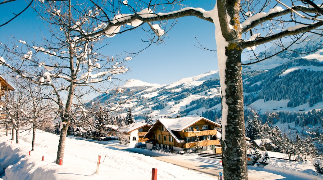 Station de ski d'Adelboden