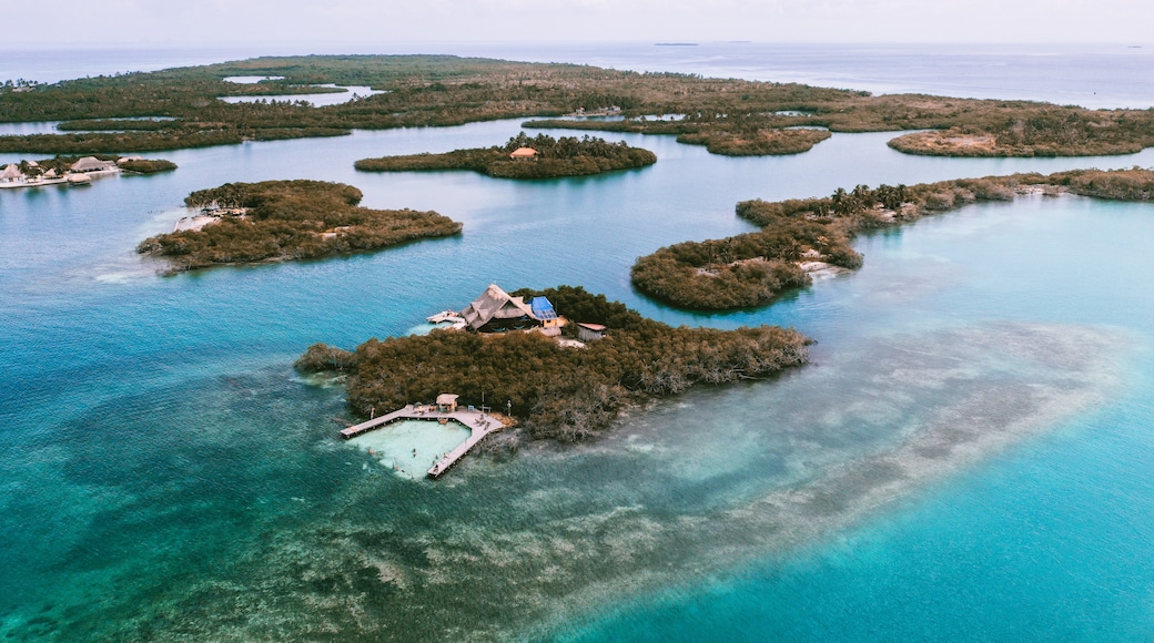 穆庫拉島