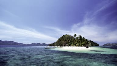 palawan tours and packages