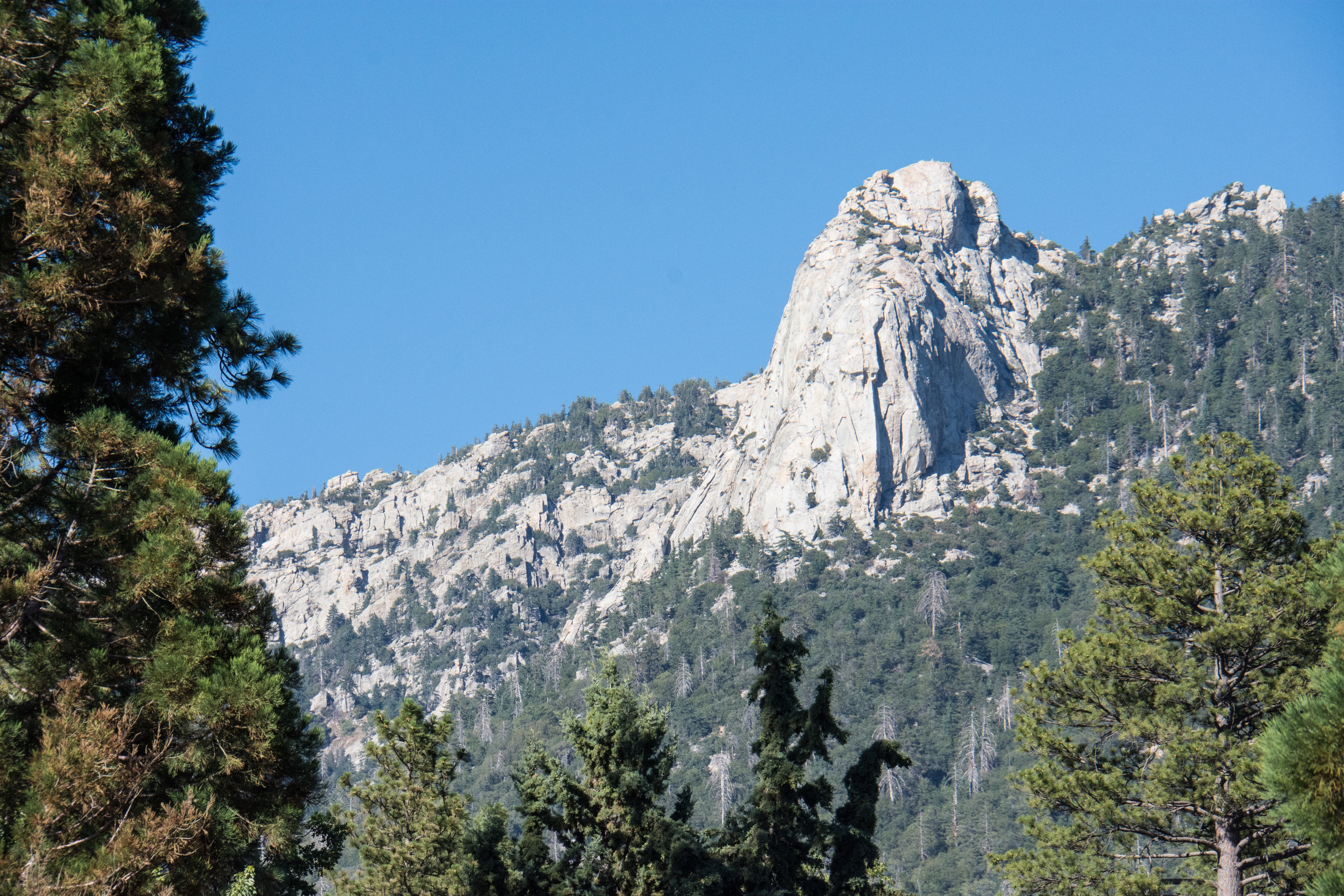 Visit Idyllwild: 2023 Travel Guide for Idyllwild, California  Expedia