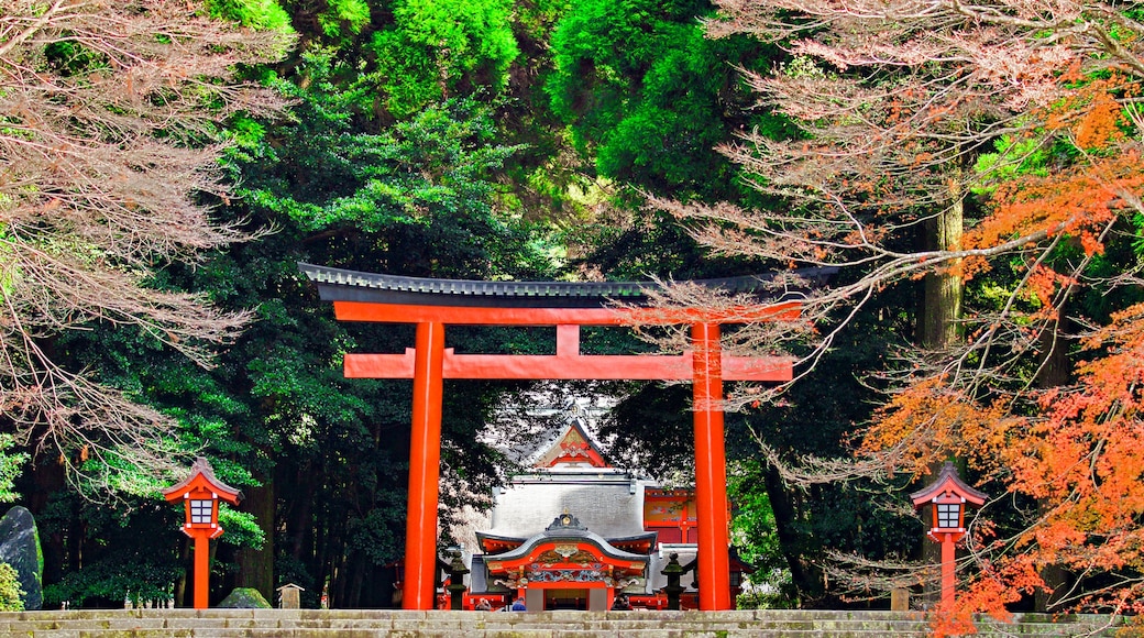 Buddhist Temple