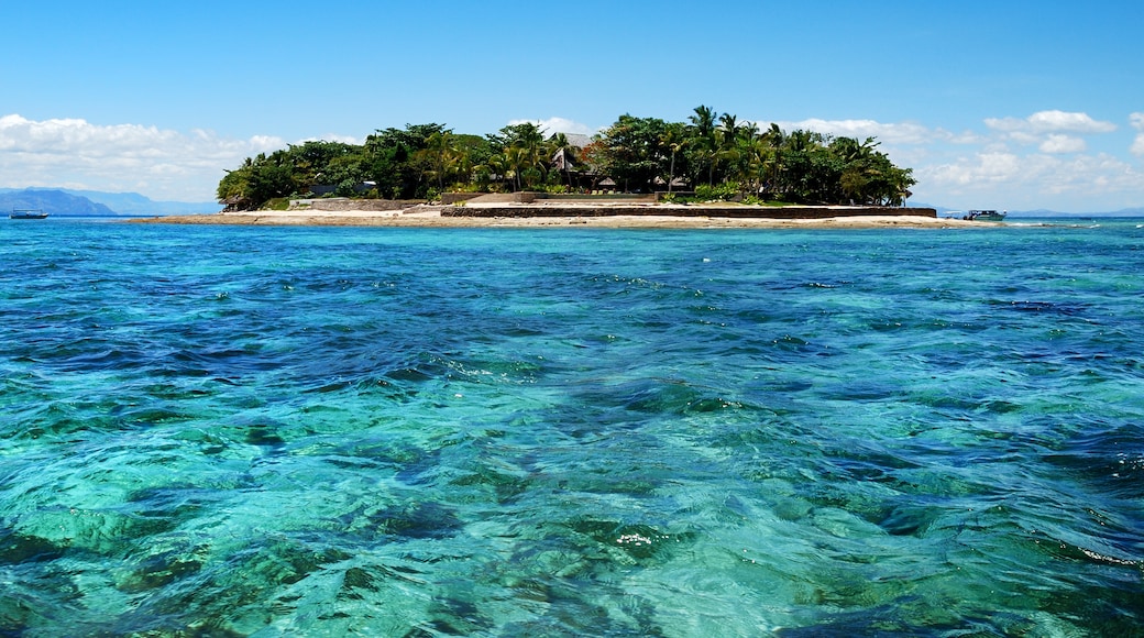 Treasure Island, Western-divisie, Fiji