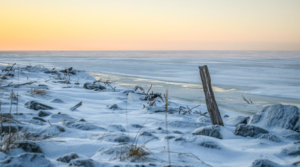 Kotzebue