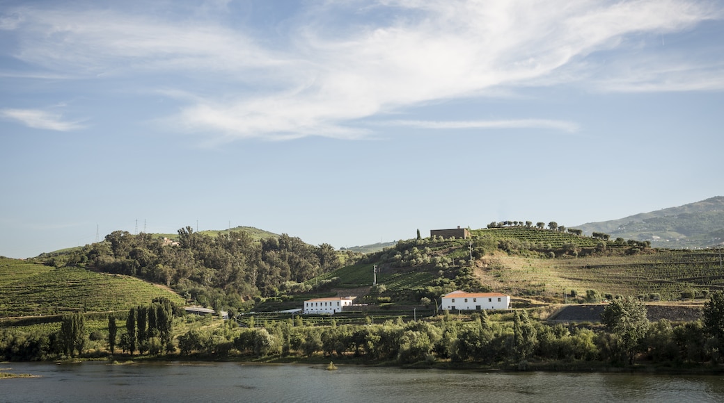 Vale do Douro, Portugal