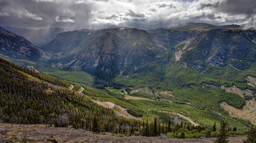 zip trip red lodge montana