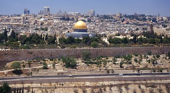jerusalem tour from usa Default Image