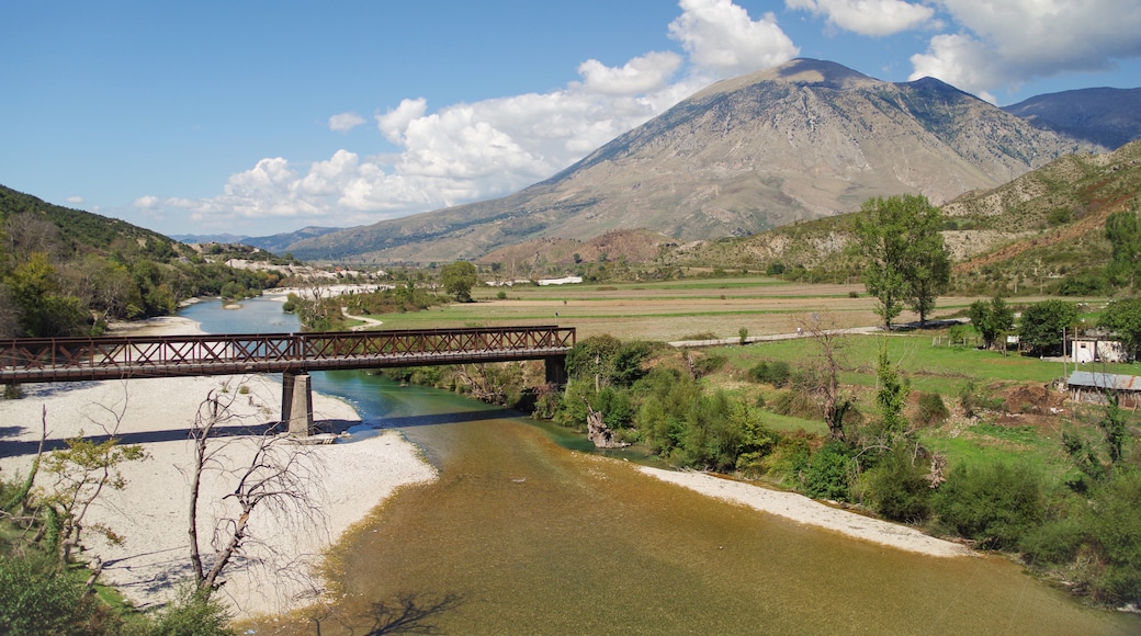 distretto di Tepelenë