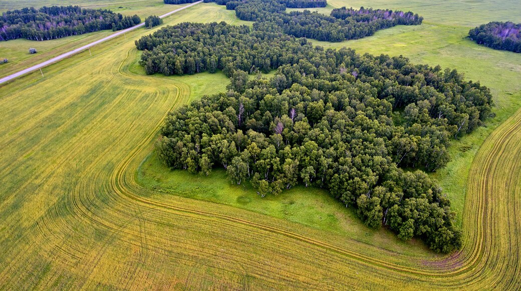 Petropavlovsk