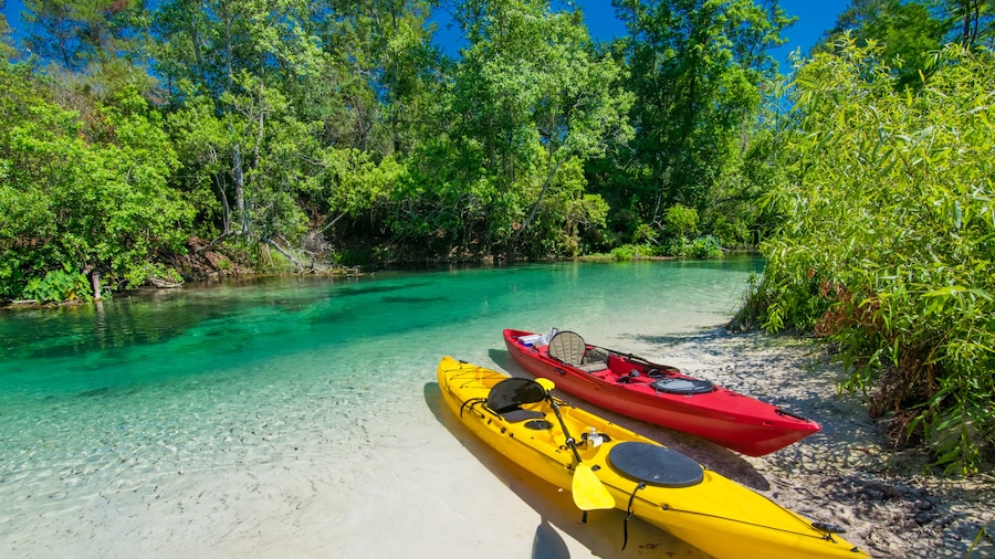 Weeki Wachee River