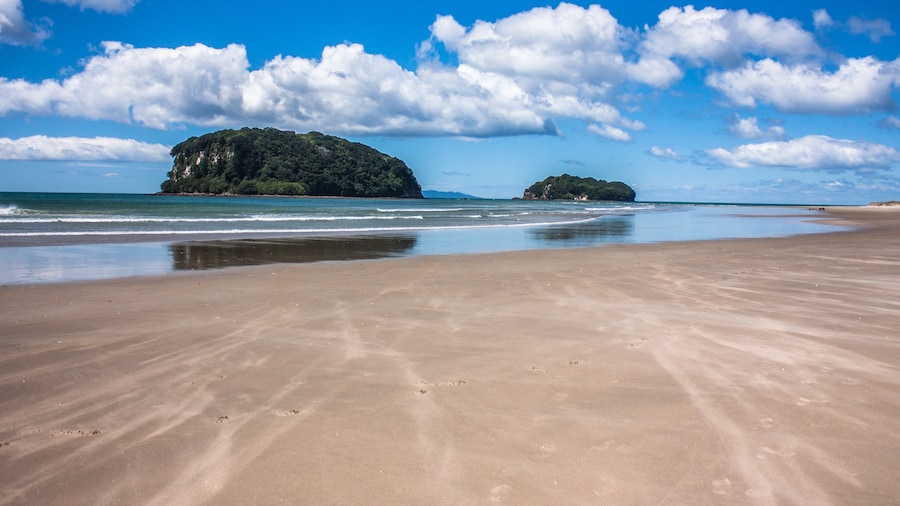 Whangamata Beach