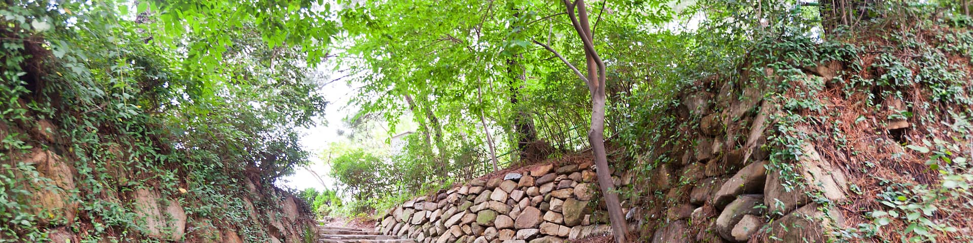Seomyeon Medical Street, Busan, Südkorea
