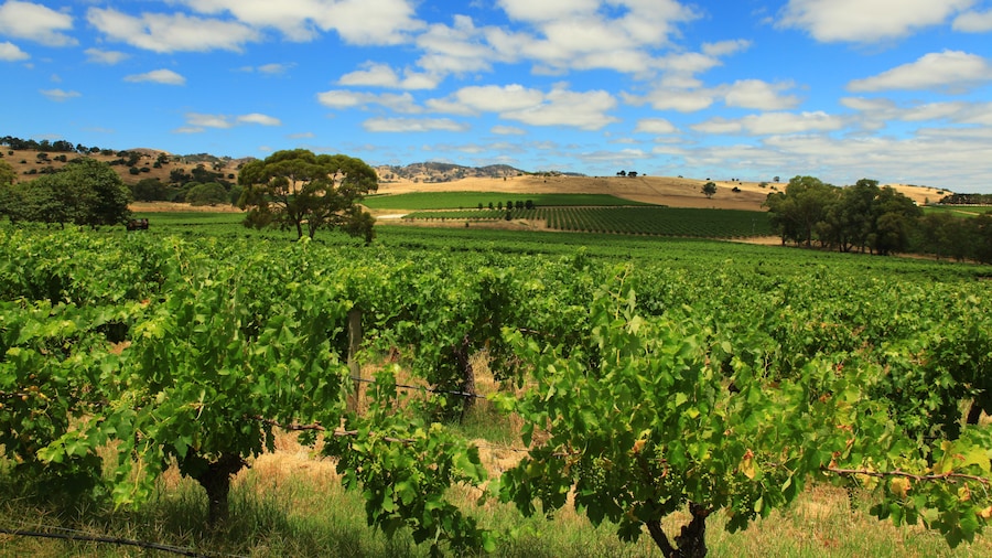 Kellermeister Winery