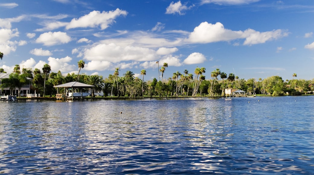 Crystal River, Florida, United States of America
