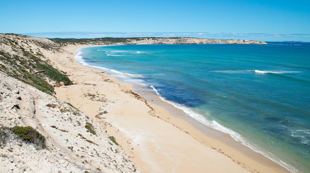 Coffin Bay