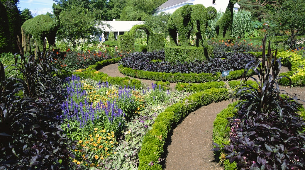 Green Animals Topiary Gardens, Portsmouth, Rhode Adası, Birleşik Devletler