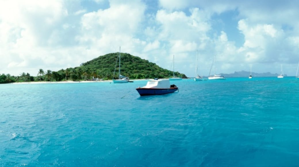 Tobago Cays