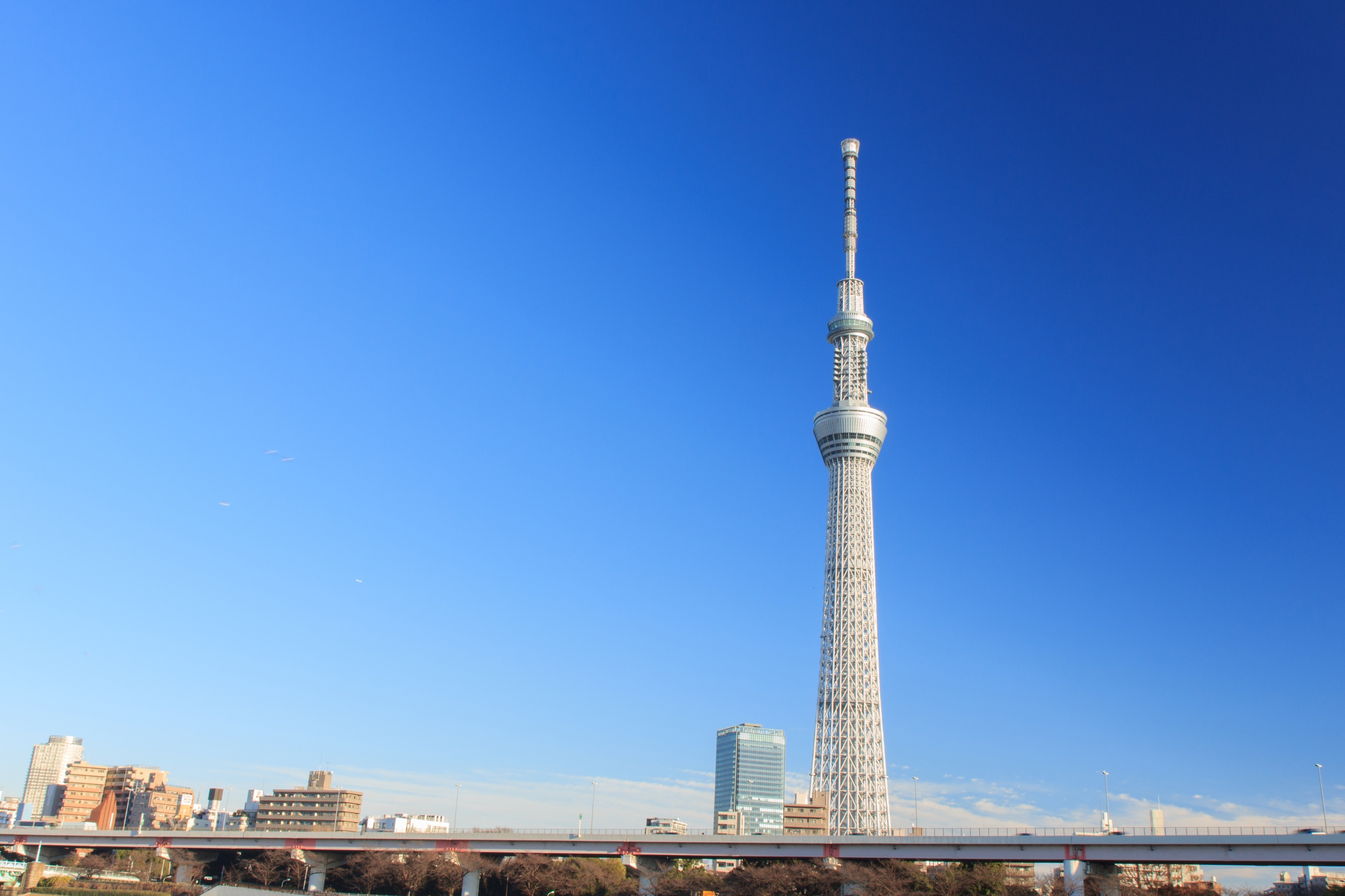 Tokyo: Skytree Skip-the-Line Entry Ticket