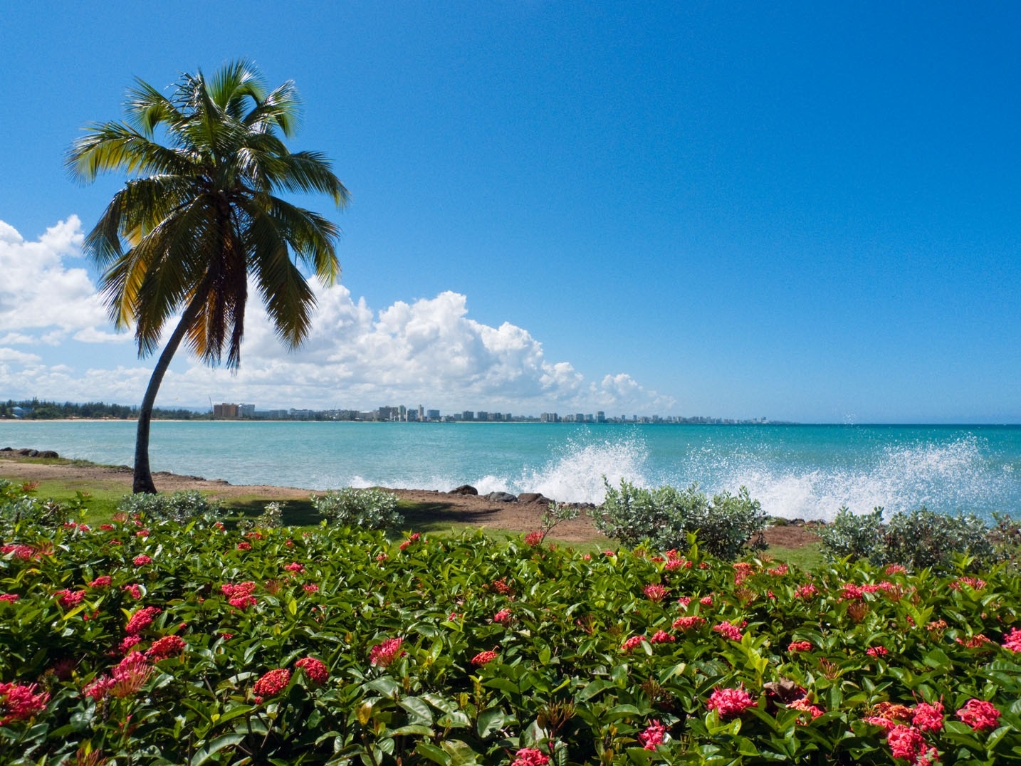 Visit Isla Verde: 2024 Isla Verde, San Juan Travel Guide