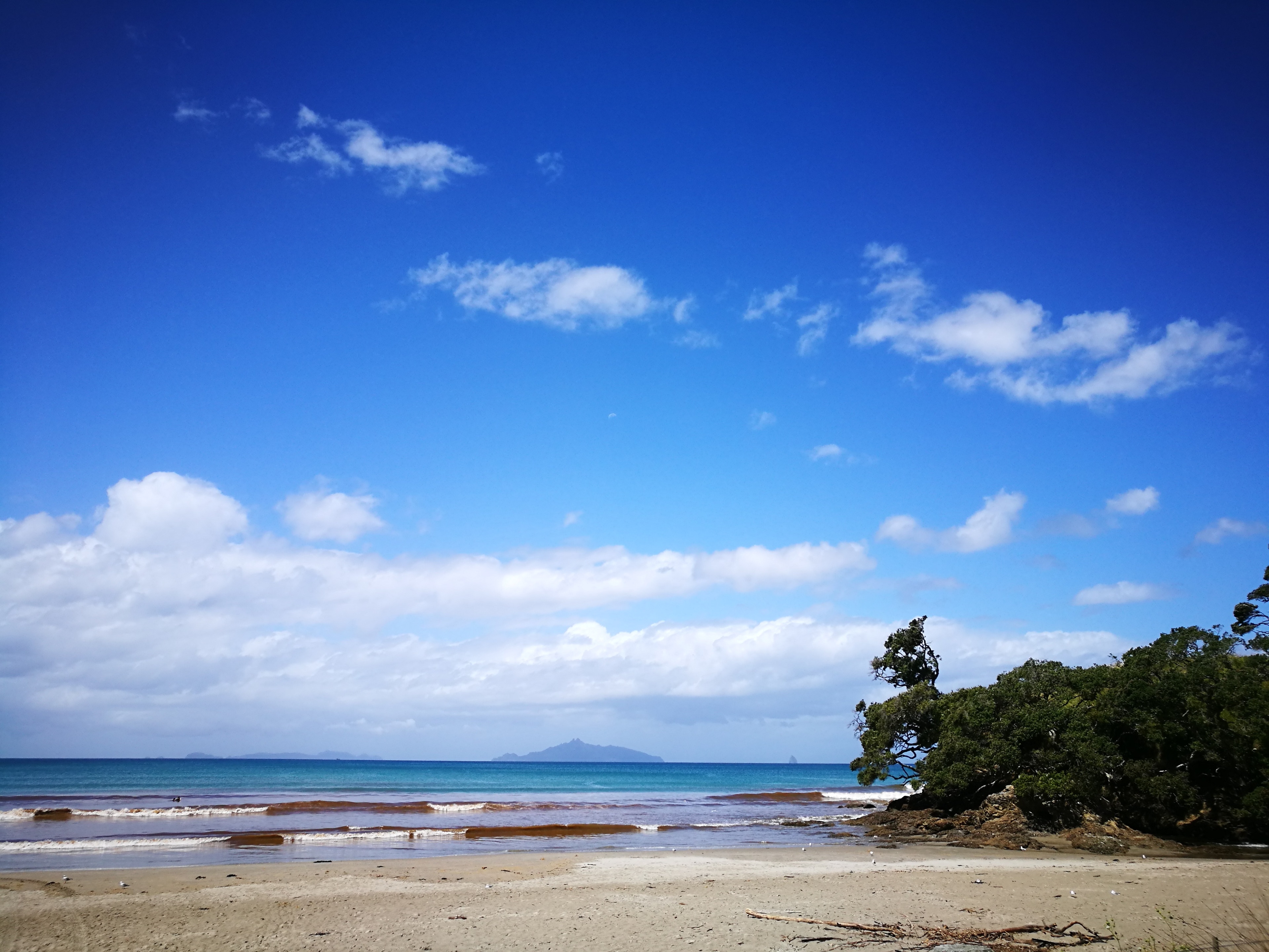 Waipu Cove Beach, Northland Vacation Rentals: house rentals & more
