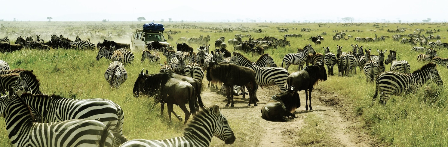 Serengeti Nemzeti Park, Tanzánia