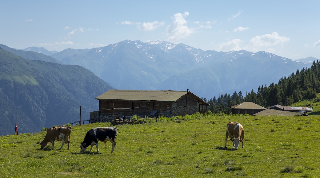 Nationalpark Kaçkar Dağları